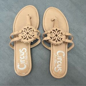 Circus Sam Edelman Cherri Strappy Flat Thong Sandals Flip Flops Women’s Size 7.5